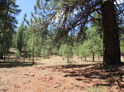 10735 Dogwood, Truckee, CA 96161 Photo