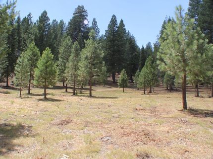 10735 Dogwood, Truckee, CA 96161 Photo