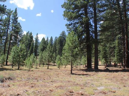 10735 Dogwood, Truckee, CA 96161 Photo