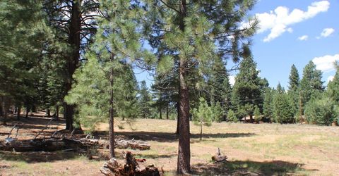 10735 Dogwood, Truckee, CA 96161 Photo