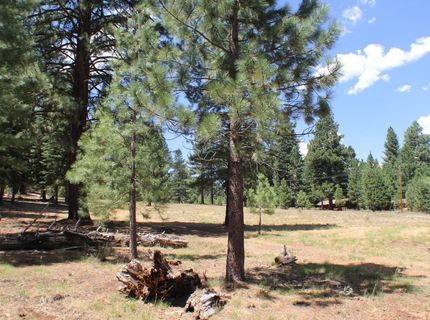 10735 Dogwood, Truckee, CA 96161 Photo