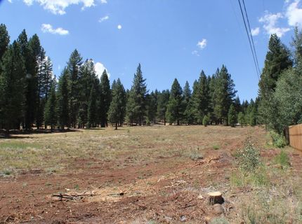 10735 Dogwood, Truckee, CA 96161 Photo