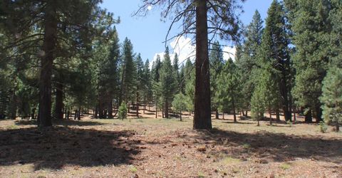 10735 Dogwood, Truckee, CA 96161 Photo