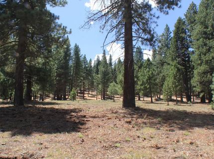 10735 Dogwood, Truckee, CA 96161 Photo