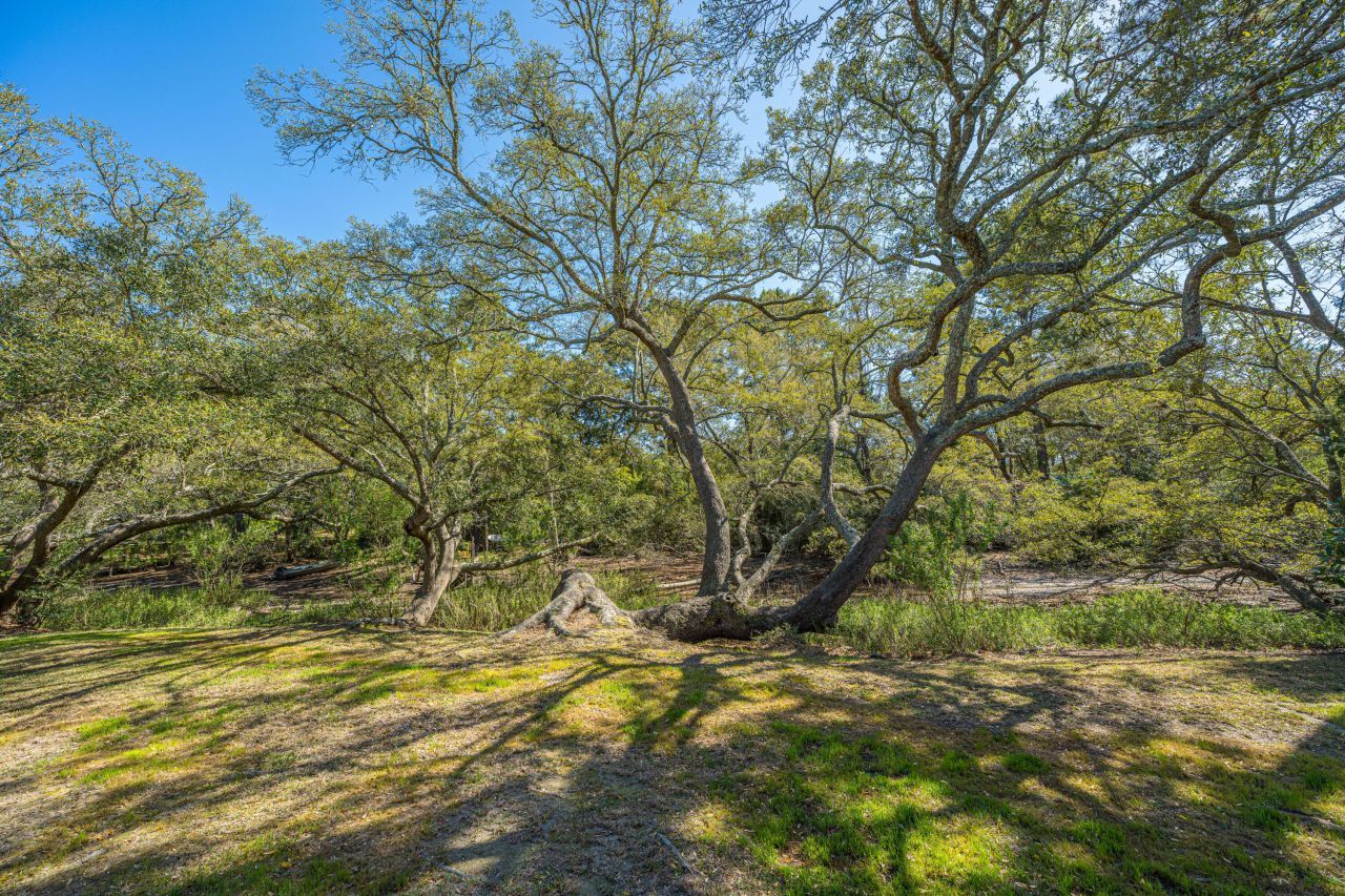 1529 Hunley Avenue Photo 38