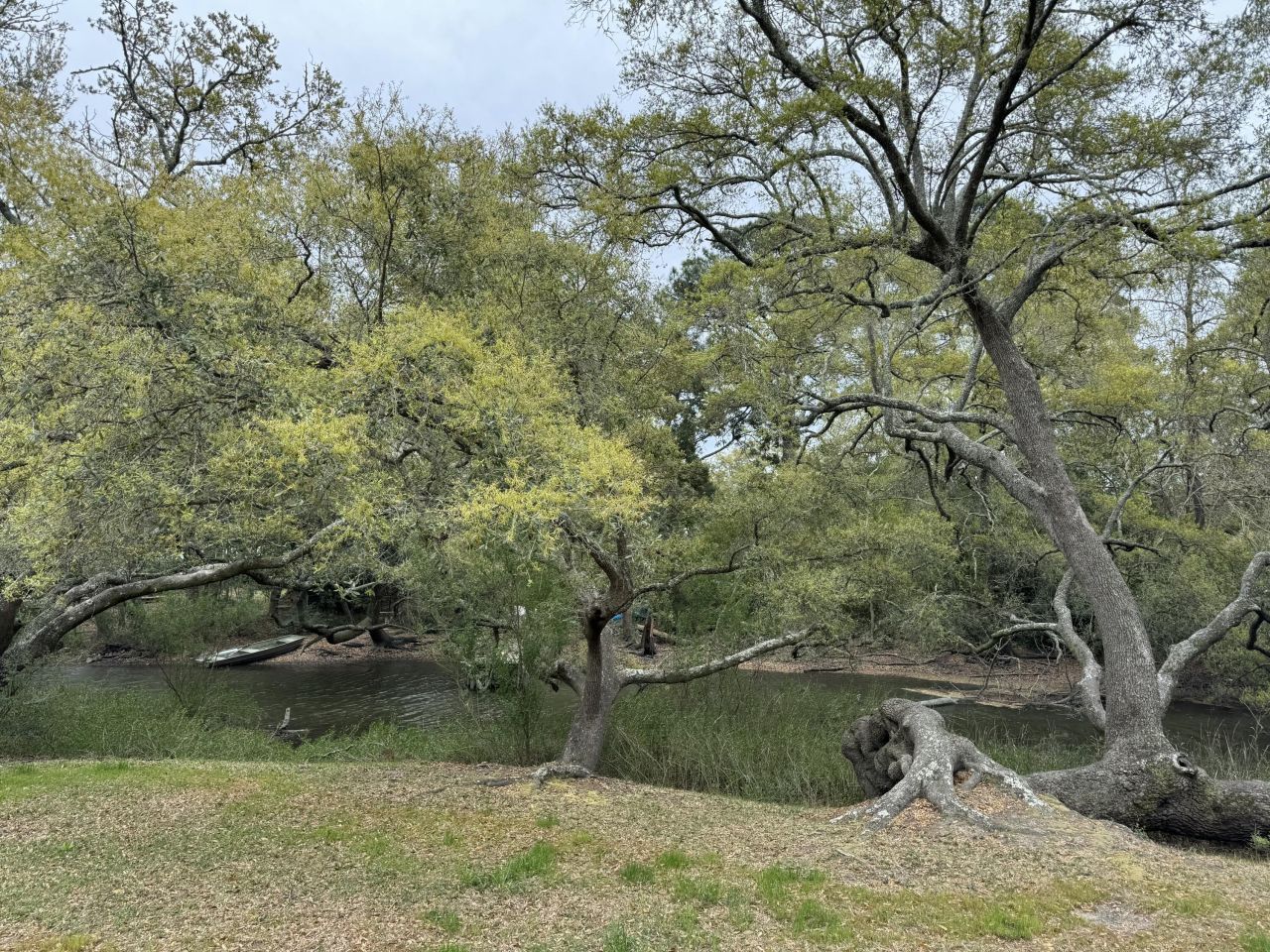 1529 Hunley Avenue Photo 4