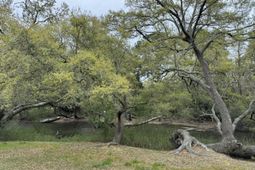 1529 Hunley Avenue photo 4