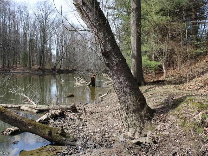 2254 Milton Boulevard, Newton Falls, OH 44444 Photo 8