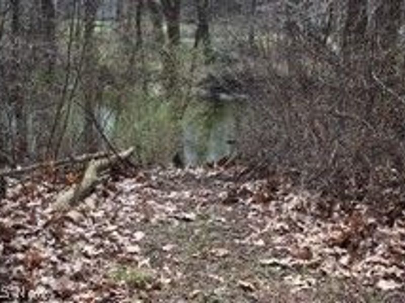 2254 Milton Boulevard, Newton Falls, OH 44444 Photo 8