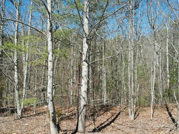 442 Hawken Drive , Walland, TN 37886