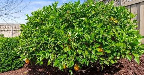 1780 Mary Rose Ln, Lincoln, CA 95648 Photo