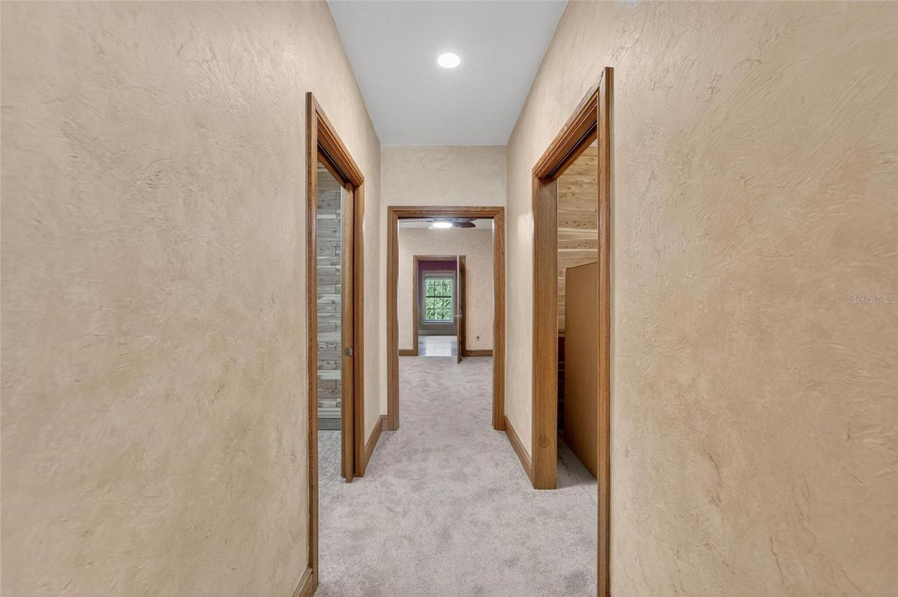 902 River Rapids Avenue, Brandon, FL 33511 Photo