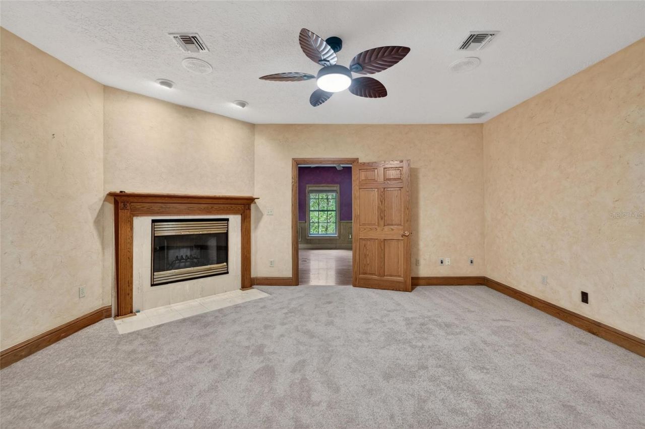 902 River Rapids Avenue, Brandon, FL 33511 Photo