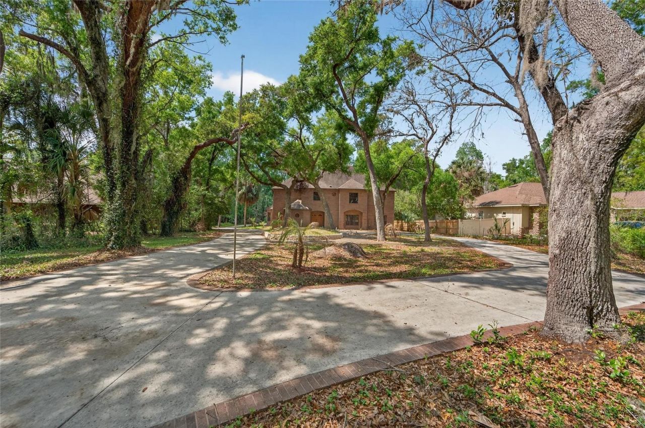 902 River Rapids Avenue, Brandon, FL 33511 Photo