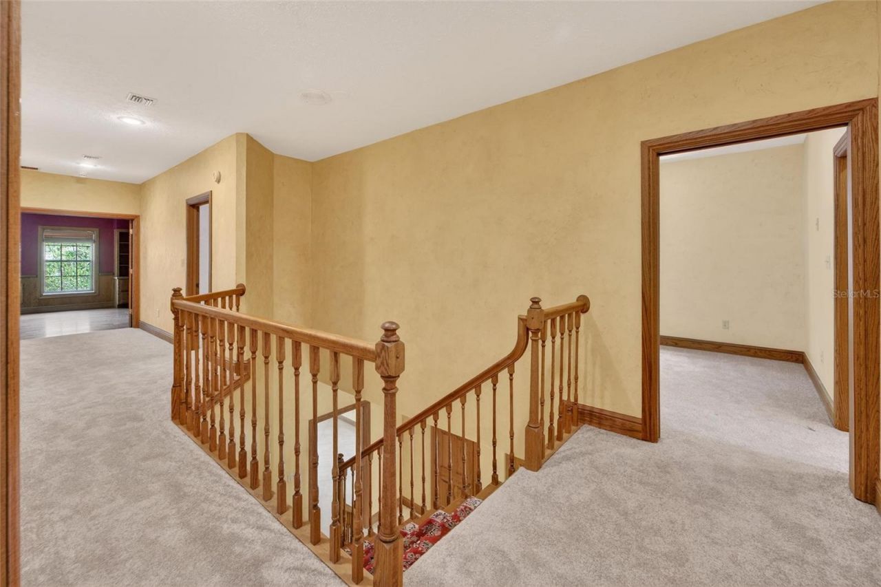 902 River Rapids Avenue, Brandon, FL 33511 Photo