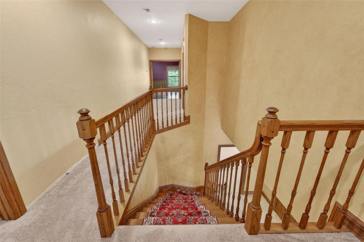 902 River Rapids Avenue, Brandon, FL 33511 Photo
