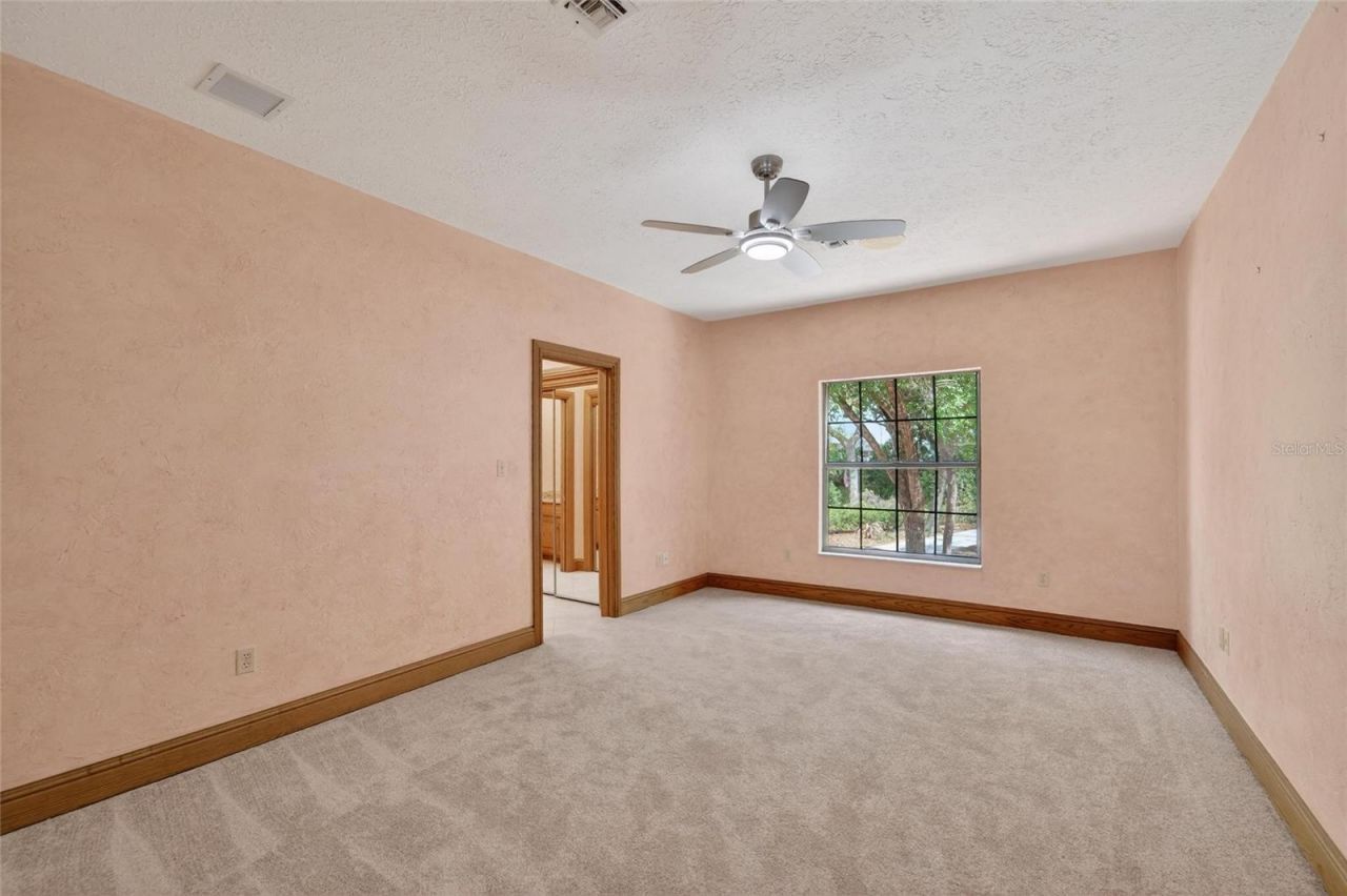 902 River Rapids Avenue, Brandon, FL 33511 Photo