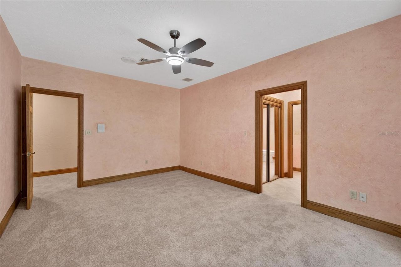 902 River Rapids Avenue, Brandon, FL 33511 Photo