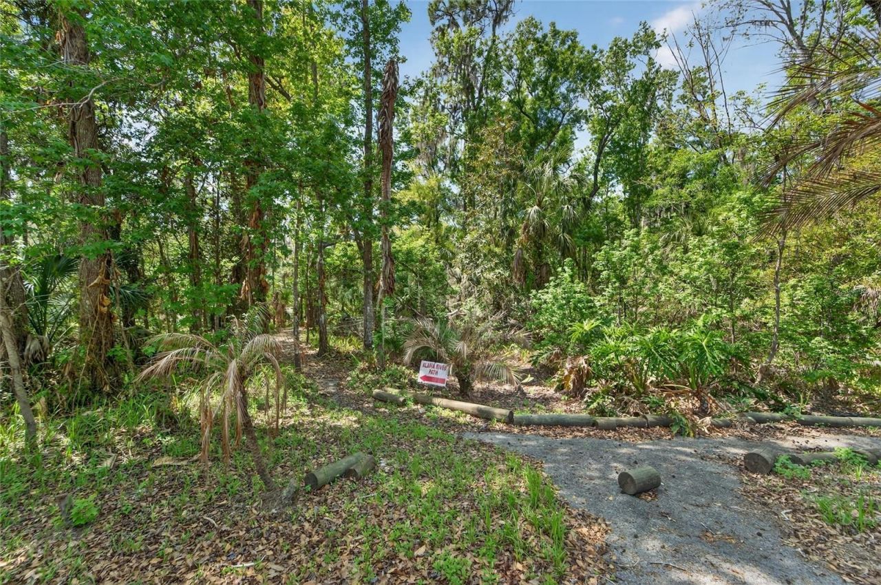 902 River Rapids Avenue, Brandon, FL 33511 Photo