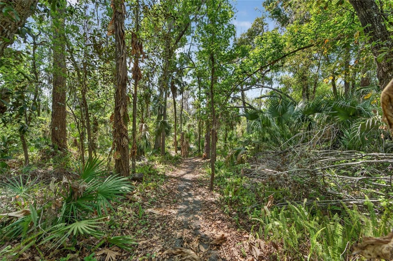 902 River Rapids Avenue, Brandon, FL 33511 Photo