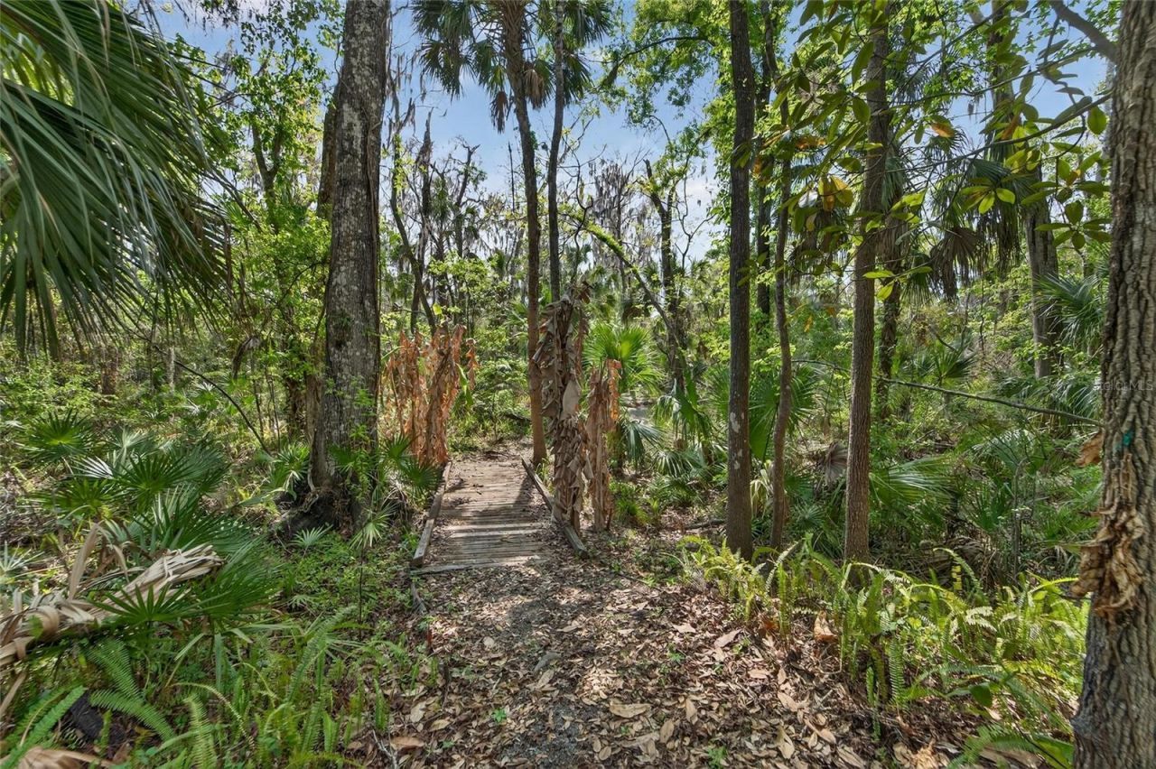 902 River Rapids Avenue, Brandon, FL 33511 Photo