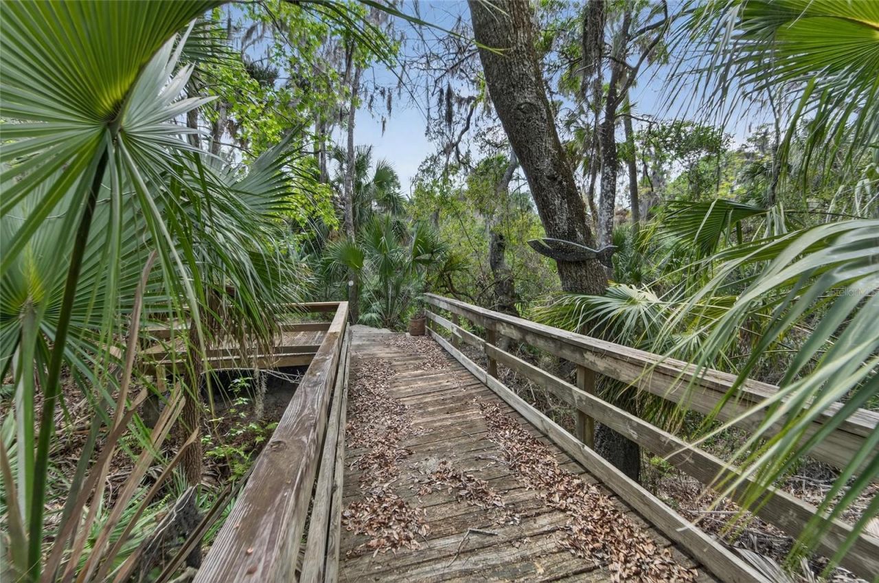 902 River Rapids Avenue, Brandon, FL 33511 Photo