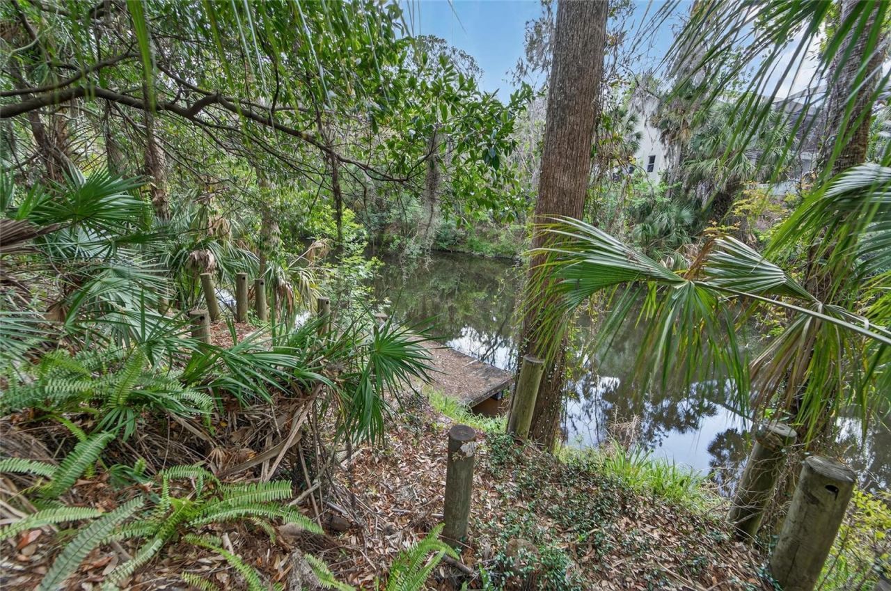 902 River Rapids Avenue, Brandon, FL 33511 Photo