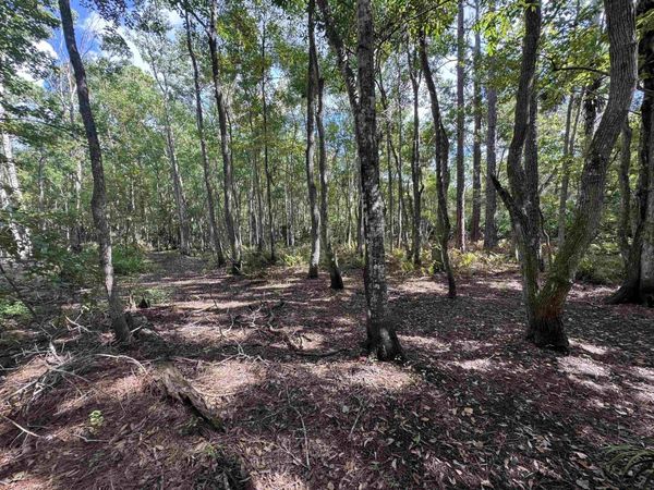 0 Bruen St, St Augustine, FL 32084