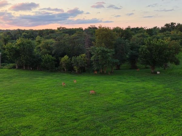 Lot 10 Kestrel Heights 2nd Addition, Cedar Rapids, IA 52403