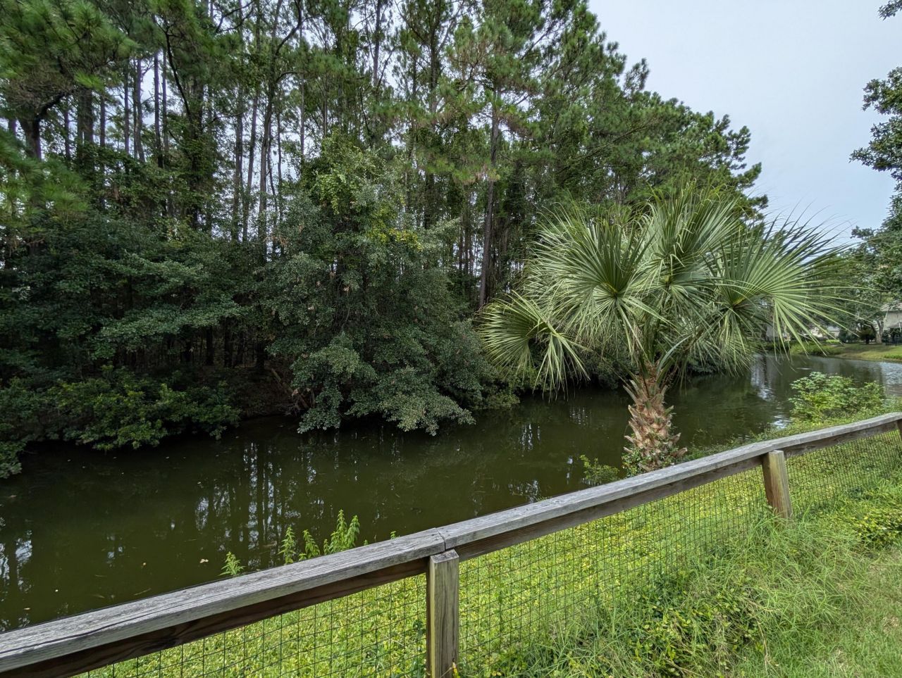 1920 Oak Tree Lane Photo 5