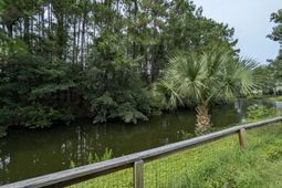 1920 Oak Tree Lane photo 4