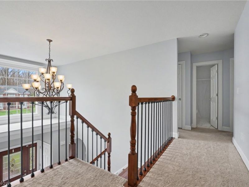 3216 Linden Place, Canfield, OH 44406 Photo 23