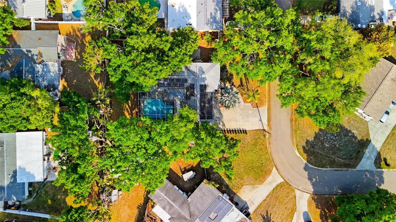 1349 78th Avenue N, Saint Petersburg, FL 33702 Photo