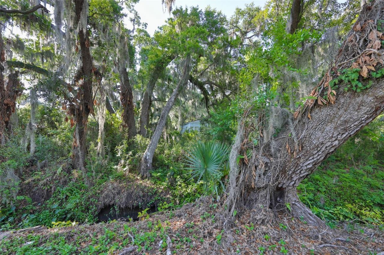 Please Call For Address, Dover, FL 33527 Photo