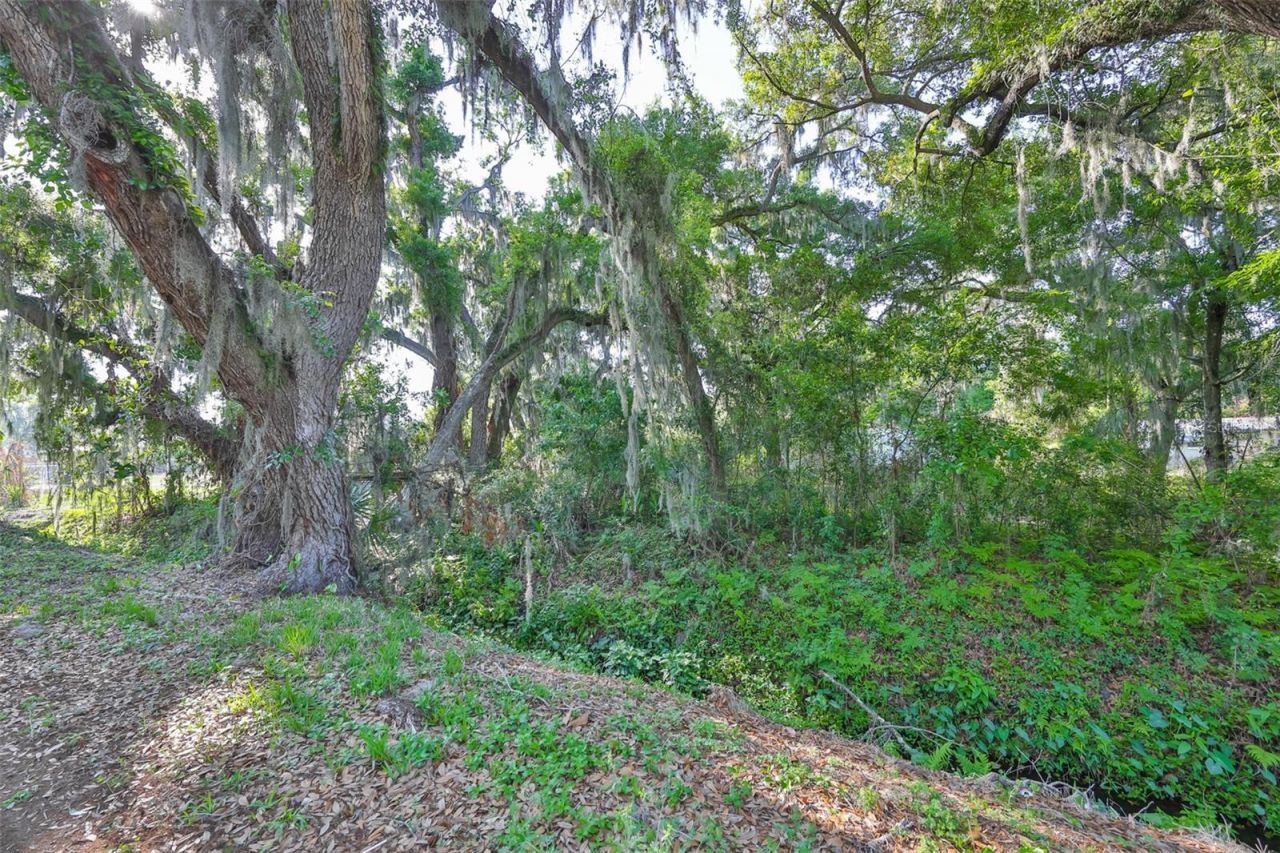 Please Call For Address, Dover, FL 33527 Photo