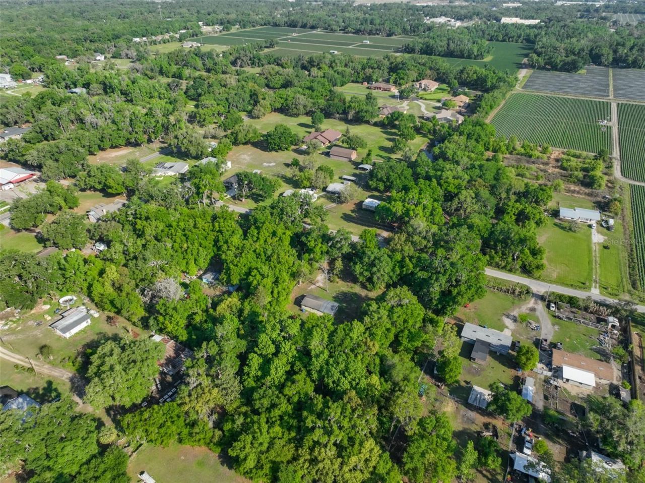 Please Call For Address, Dover, FL 33527 Photo