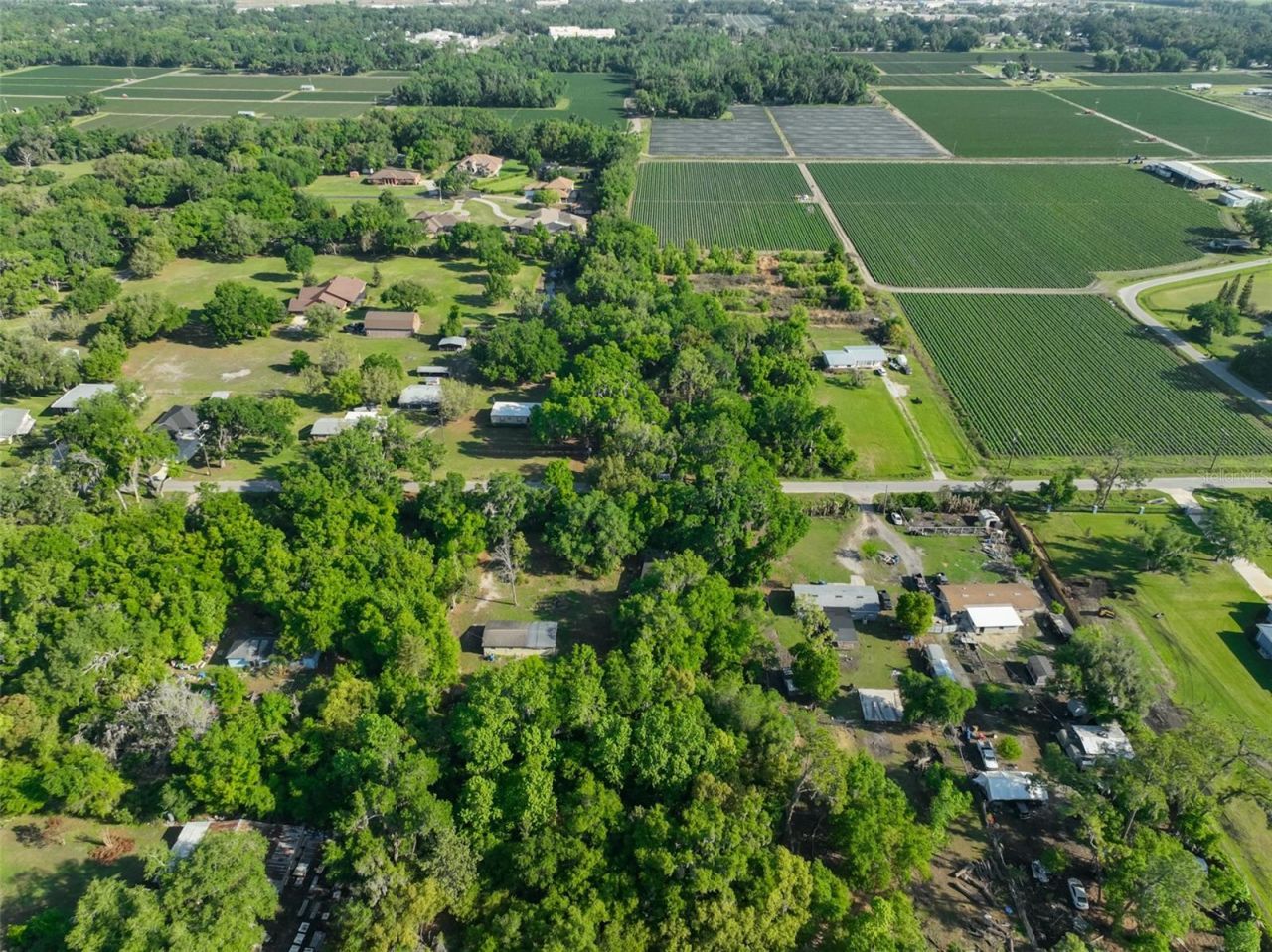 Please Call For Address, Dover, FL 33527 Photo