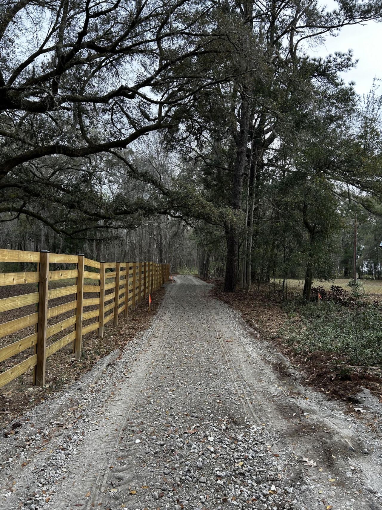 4009 Poppys Point Photo 5