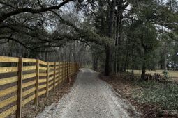 4009 Poppys Point photo 4