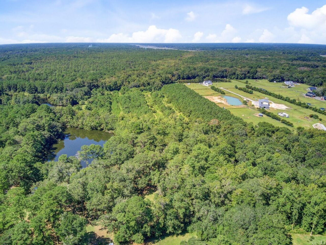 4009 Poppys Point Photo 8