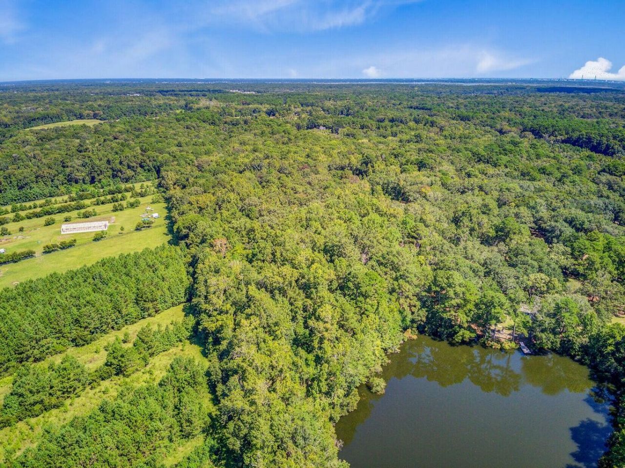 4009 Poppys Point Photo 9