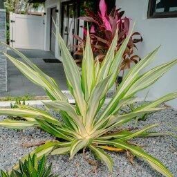 2506 Bimini Lane, Fort Lauderdale, FL 33312 Photo