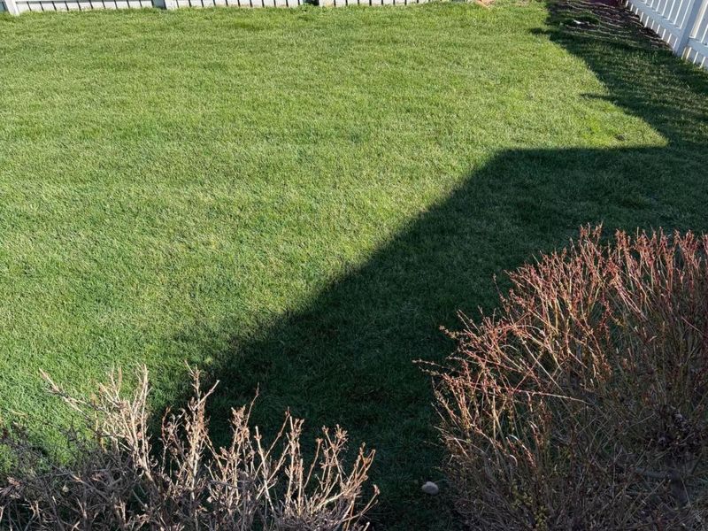 5978 Carrbridge Court, Galloway, OH 43119 Photo 44