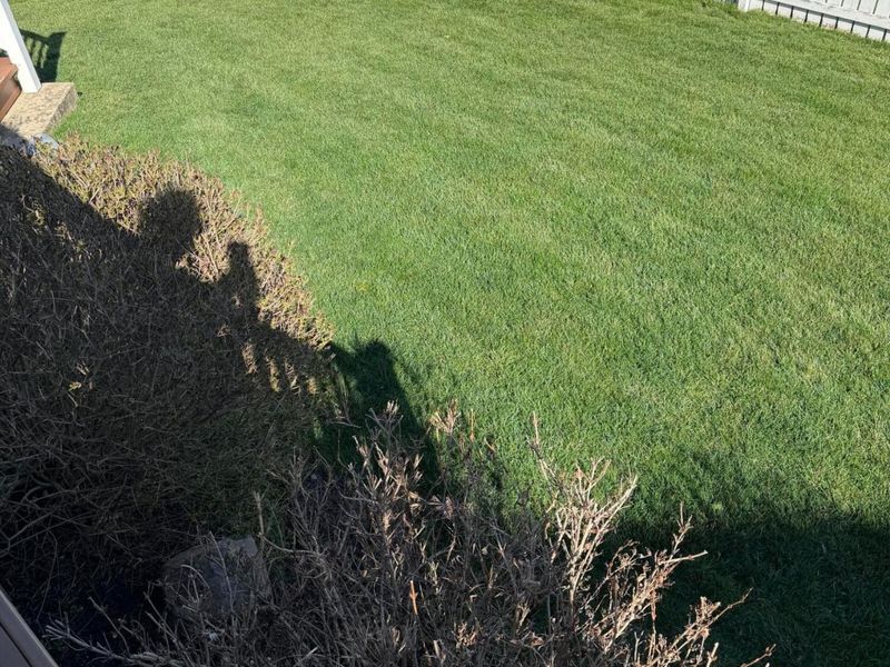 5978 Carrbridge Court, Galloway, OH 43119 Photo 45