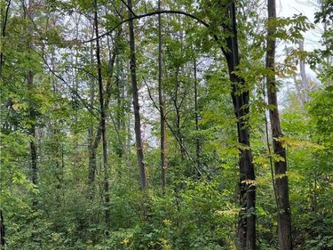 0 Tastor Lane, Fredonia, NY 14063