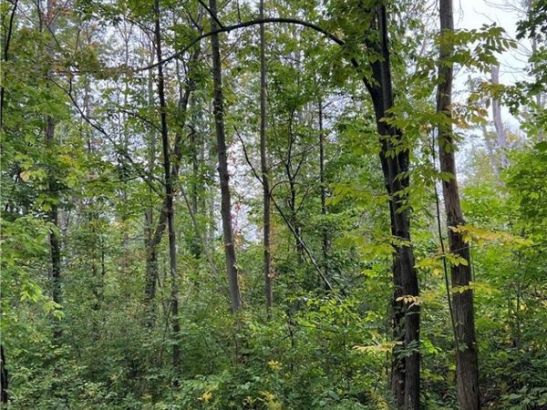 0 Tastor Lane, Fredonia, NY 14063