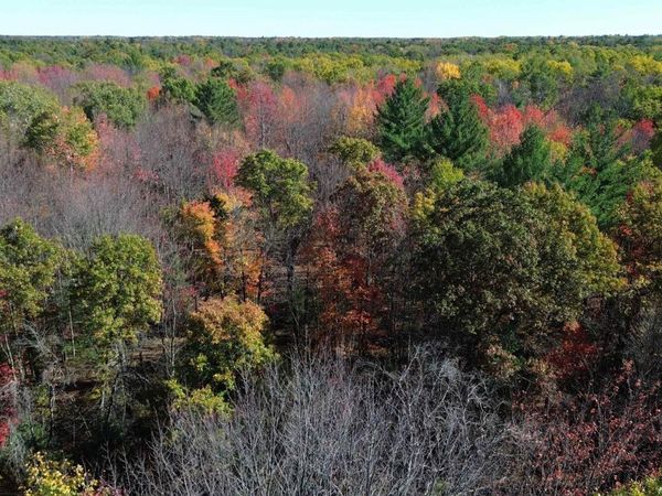 Timber Trail, Prescott, MI 48756