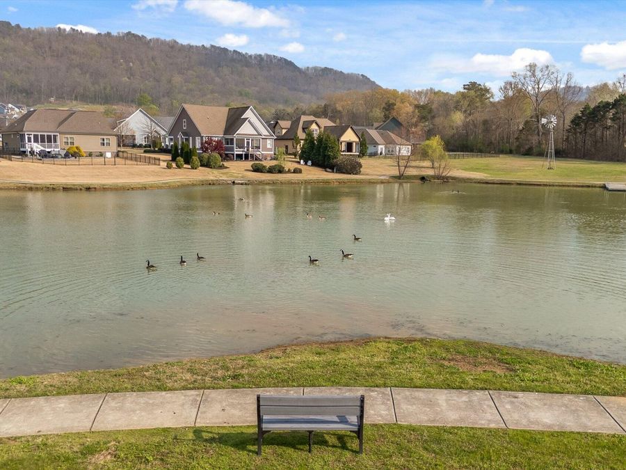 Property Image 71
