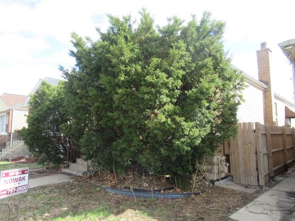 4737 S LEAMINGTON Avenue , Chicago, IL 60638