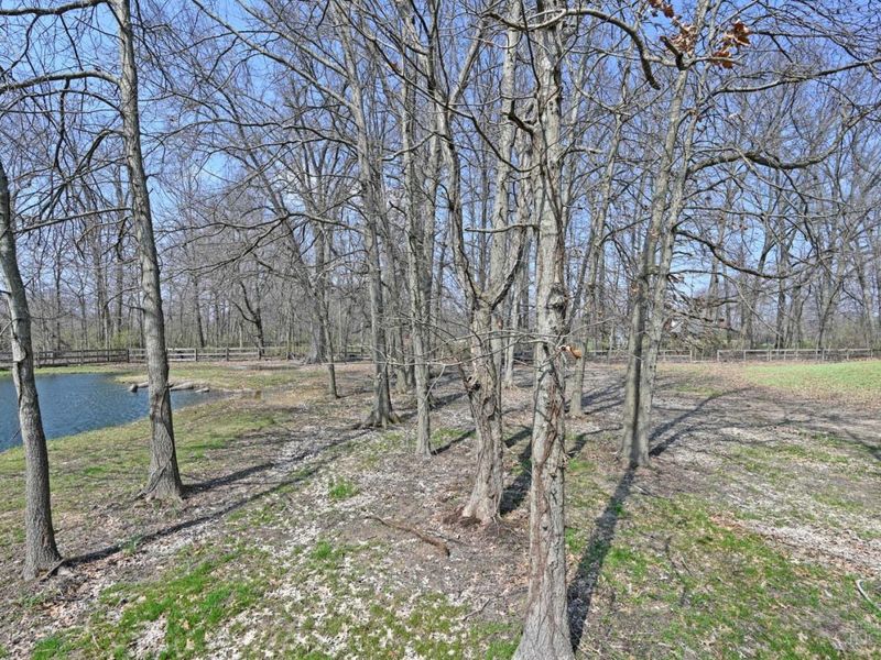 7577 Misty Woods Court, Salem Twp, OH 45152 Photo 39